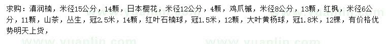 求購滇潤(rùn)楠、日本櫻花、雞爪槭等