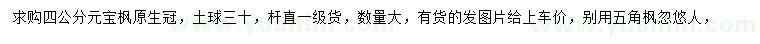 求購4公分元寶楓