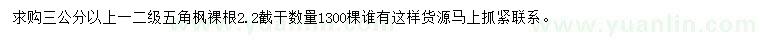 求購(gòu)3公分以上五角楓