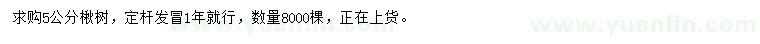 求購5公分楸樹