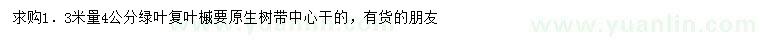 求購1.3米量4公分綠葉復(fù)葉槭
