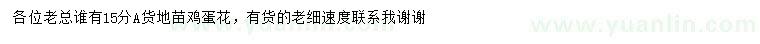 求購(gòu)15公分雞蛋花