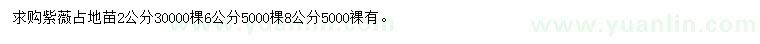 求購(gòu)2、6、8公分紫薇