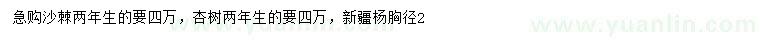 求購(gòu)沙棘、杏樹(shù)、新疆楊