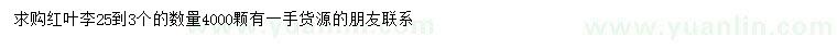 求購(gòu)紅葉李