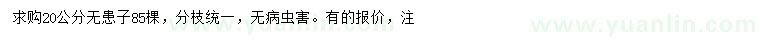 求購20公分無患子