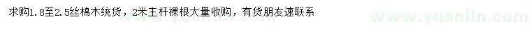 求購(gòu)絲棉木