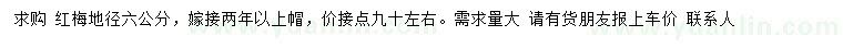 求購(gòu)地徑6公分紅梅