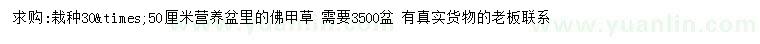 求購50公分佛甲草