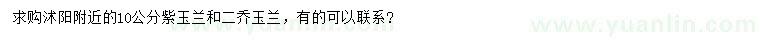 求購10公分紫玉蘭、二喬玉蘭