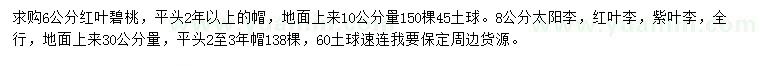 求購紅葉碧桃、太陽李、紅葉李等
