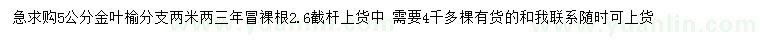 求購5公分金葉榆