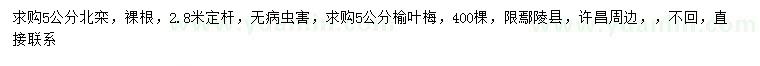 求購5公分北欒、榆葉梅