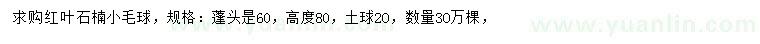 求購紅葉石楠