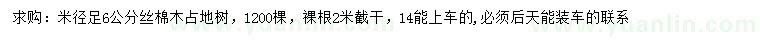 求購米徑6公分絲棉木
