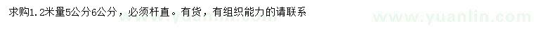 求購1.2米量5、6公分櫸樹