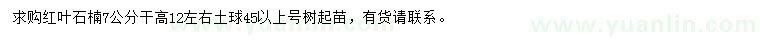 求購(gòu)7公分紅葉石楠