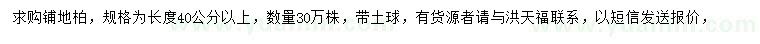 求購40公分以上鋪地柏