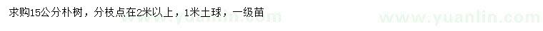 求購15公分樸樹