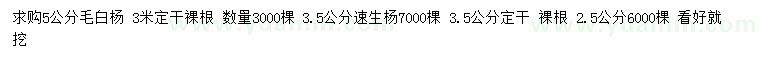 求購5公分毛白楊、3.5公分速生楊