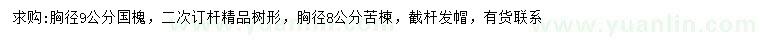 求購(gòu)胸徑9公分國(guó)槐、胸徑8公分苦楝