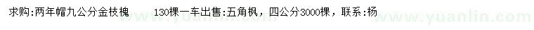 求購(gòu)9公分金枝槐、4公分五角楓
