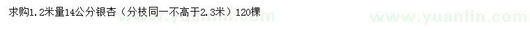 求購1.2米量14公分銀杏
