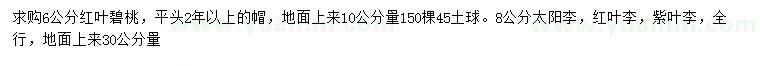 求購紅葉碧桃、太陽李，紅葉李等
