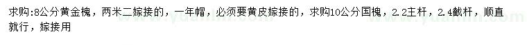 求購(gòu)8公分黃金槐、10公分國(guó)槐