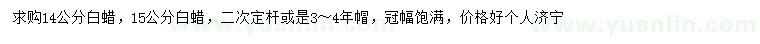 求購14、15公分白蠟