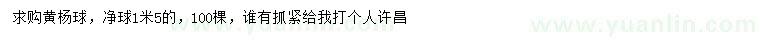 求購1.5米黃楊球