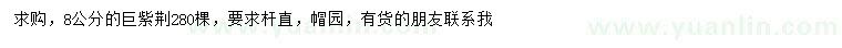 求購8公分巨紫荊