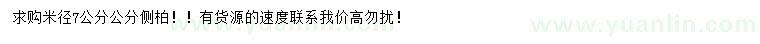 求購(gòu)米徑7公分公分側(cè)柏