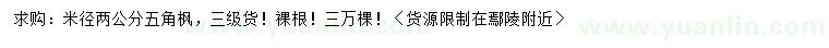 求購米徑2公分五角楓