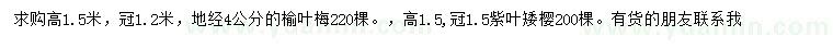 求購(gòu)地徑4公分榆葉梅、高1.5米紫葉矮櫻