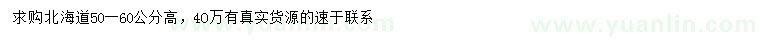 求購(gòu)高50-60公分北海道黃楊