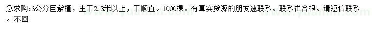 求購6公分巨紫荊