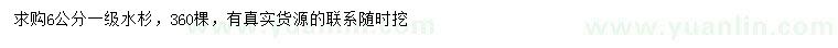 求購(gòu)6公分水杉