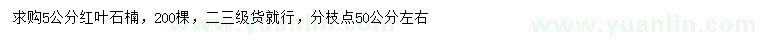 求購5公分紅葉石楠