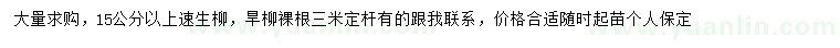 求購15公分以上速生柳、旱柳
