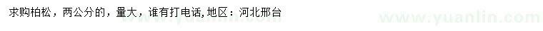求購2公分柏松
