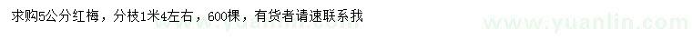 求購5公分紅梅
