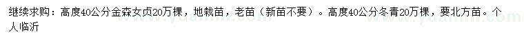 求購高40公分金森女貞、冬青