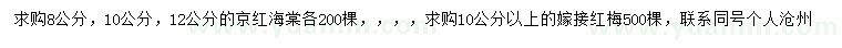 求購8、10、12公分京紅海棠、10公分以上紅梅