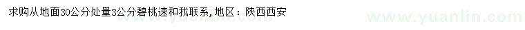 求購地面30公分處量3公分碧桃
