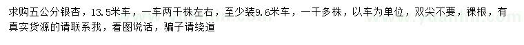 求購5公分銀杏