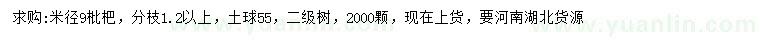 求購米徑9公分枇杷樹