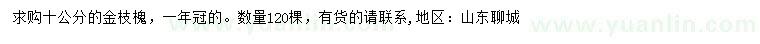 求購10公分金枝槐