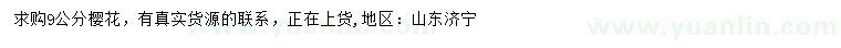 求購(gòu)9公分櫻花