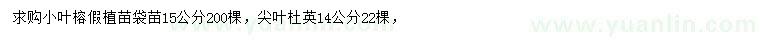求購15公分小葉榕、14公分尖葉杜英